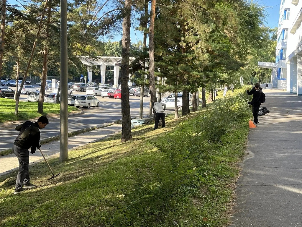 В осенней уборке города приняли участие более 37 тысяч хабаровчан