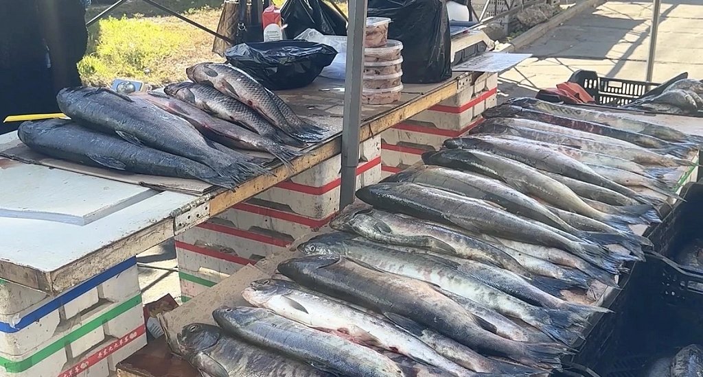 Очередной рейд по пресечению незаконной торговли прошел в Хабаровске Пресс-служба администрации Хабаровска