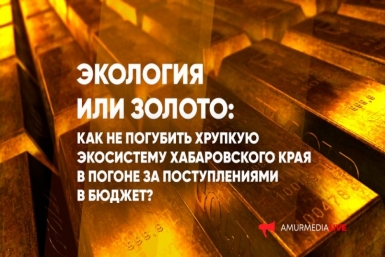 Экология или золото: как не погубить экосистему Хабаровского края в погоне за бюджетом?